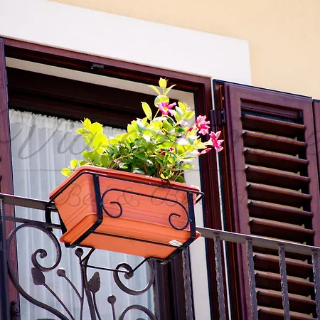 Bed & Breakfast Viadelmare